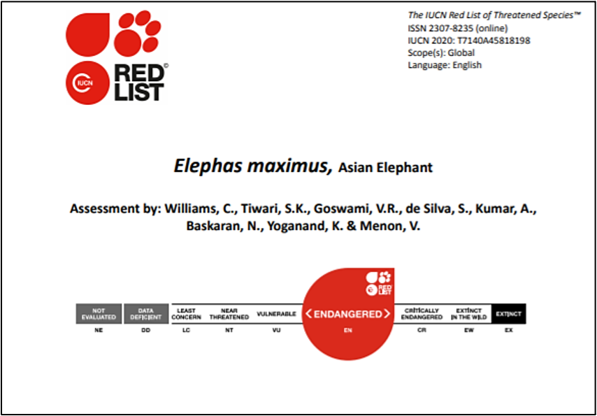 Elephas maximus, Asian Elephant